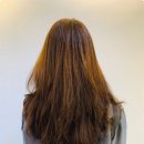 벨라헤어 이미지