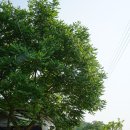 부귀면행정복지센터 이미지