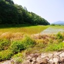 문막읍사무소 이미지