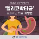 위궤양‧위암 위험인자 ‘헬리코박터균’ 효과적인 치료‧예방법 이미지