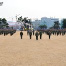 아라우 이미지