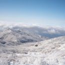 반도여인숙 이미지