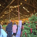 멈무eat | [크리스마스 빌리지 부산] 스페이스 원지 랑이뽀기 애견동반 후기 주차와 꿀팁들