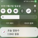 317회 편백숲길5 이미지