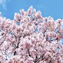 물태리 다목적회관 이미지