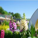 거북이동산 이미지