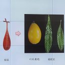 완도군농업기술센터 | 농촌에서살아보기 완도 불목 마을 2일차