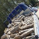 병식농장 이미지