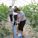 사체농장 이미지