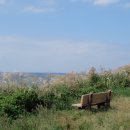 닭머르해안길 이미지