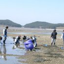 11월펜션 이미지