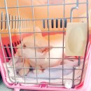 좌천동물병원 이미지