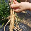 서도농장 이미지