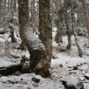 무릉농장 이미지