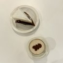 카페팥쥐와콩쥐 | 방이동 카페 찾는다면 여기, 언틸포에이엠 솔직 후기 (얼그레이 가또,콩쥐팥쥐 추천)