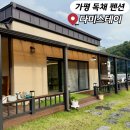 다미스테이 | 가평 독채펜션 단체 20인 가능한 다미스테이 내돈내산 후기