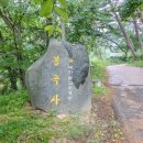 옥류천이야기길(소나무숲길) | 아산 절 추천, 비 오는 날 걷기 좋은 숲길 천년고찰 봉곡사