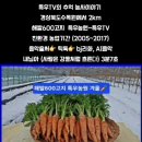 옥계경계지역 이미지