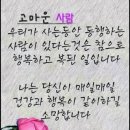 꼬망쎄 네이버블로그