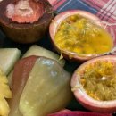 STATION | 방콕 짜뚜짝시장맛집 Juice Station 코코넛 아이스크림 후기