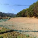 남면농업협동조합 이미지