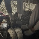 대전 근처 단풍 캠핑 추천 속리산 고릴라캠핑인속리산 애견 동반 D26