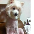 카페205 이미지