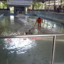 바위농장 이미지