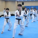 태권도 비전팀 이미지