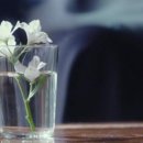 더 테이블(The table) - 김해시 | 더 테이블(The table)