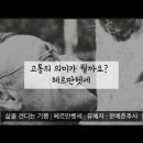 삶을 견디는 기쁨 | 헤르만헷세(편안하게 책읽기 ) 이미지