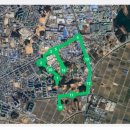 코아루이지움 이미지