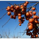 봉재농장 이미지