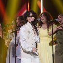 쓰담쓰담 이미지