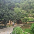 상주 용산정사 이미지