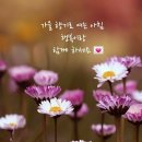 멋진하루 이미지