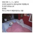 ACC 아시아 패션쇼 | 25.09 추석(광주 방문기)