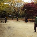 금일초등학교 이미지