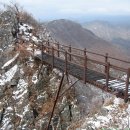 구름다리 이미지