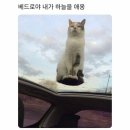 포하임 네이버블로그