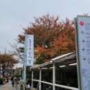 [공지] 노량진수산시장 할인방법 의리수산 방어 가격 회포장 내돈내산