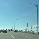 우준 | 25.8.22-24 오사카 엑스포 1일차 후기