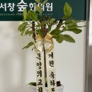 서창숲한의원 이미지