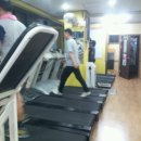 [야간] 다이어트 요가 이미지