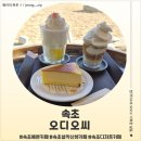 카페 속초 | 속초 예쁜 카페 오디오씨 후기