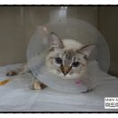 미드미동물병원 이미지