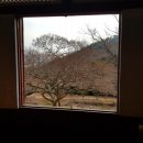 공원민박 이미지