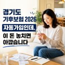 경기도 기후 보험 혜택이 2배나? 직접 챙겨 본 경기도 복지 혜택 정리