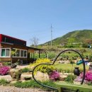 홈당골펜션 이미지