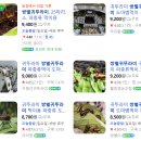 반달농장 이미지